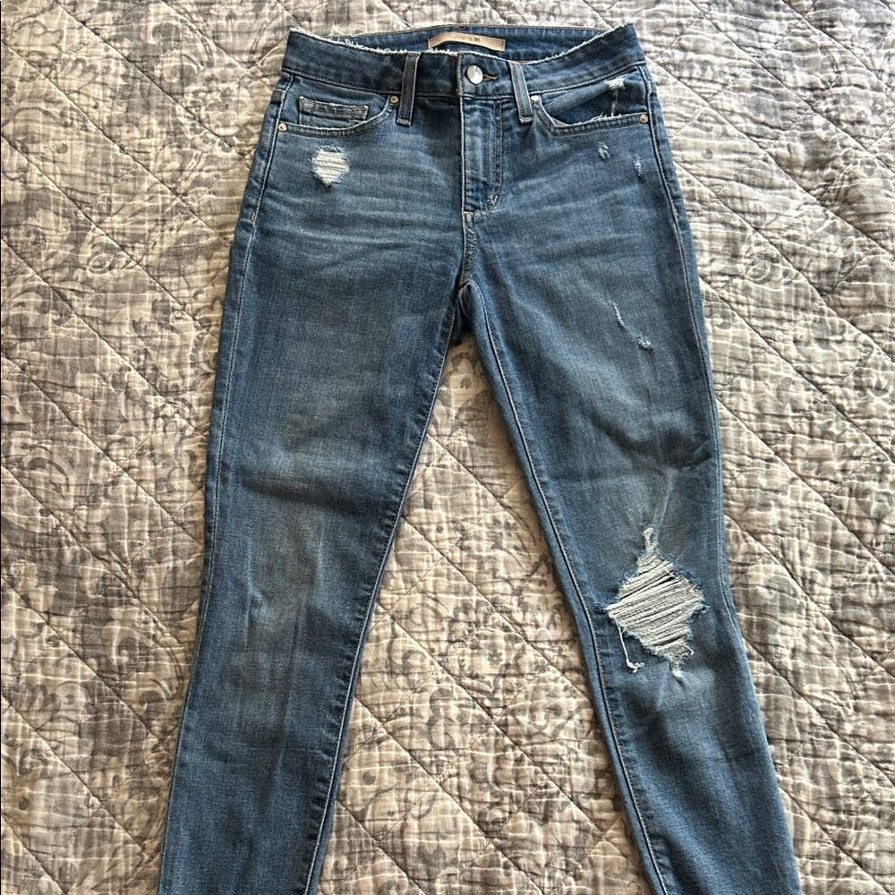 Joe's Jeans Distressed Skinny Blue Jeans